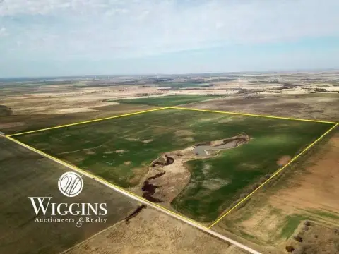 Productive Land Auction Opportunity