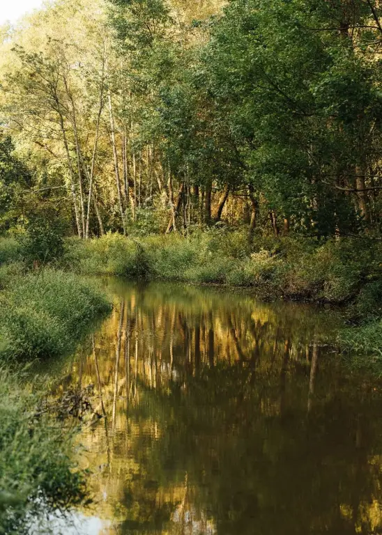 Picture 25
