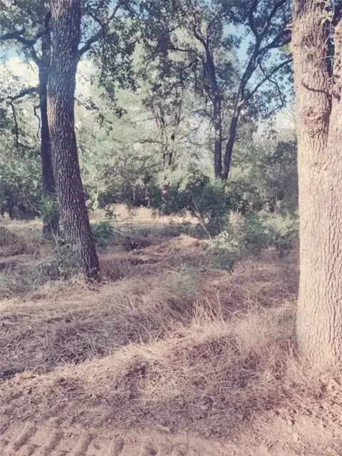 Weatherford Land with Renovation Potential