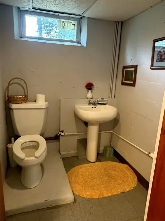 Picture 29