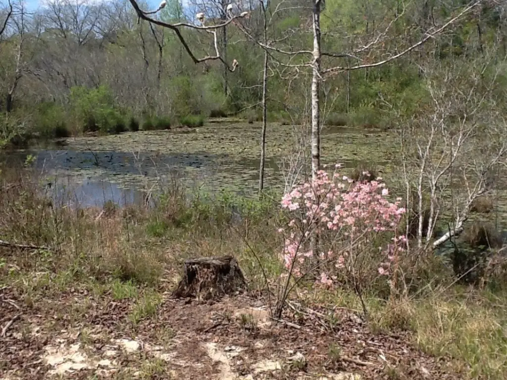 Picture 3
