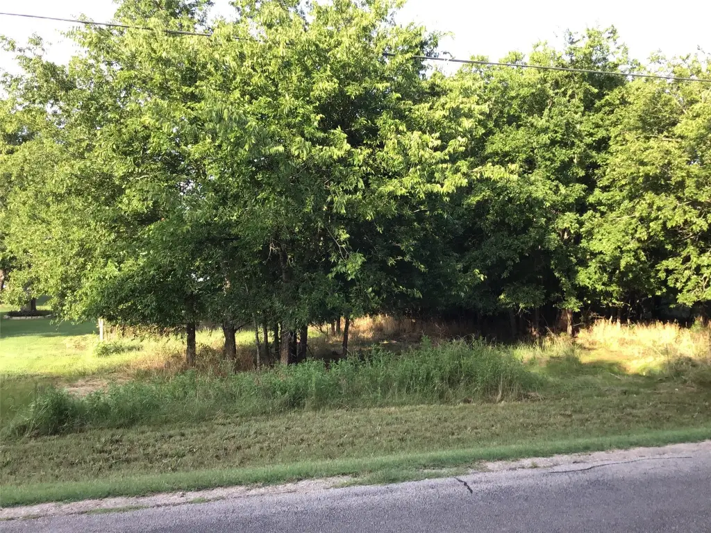 Picture 6