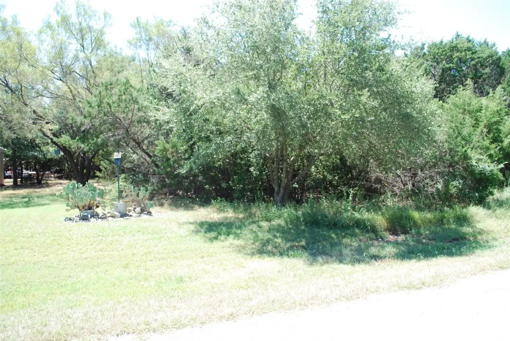 Picture 4