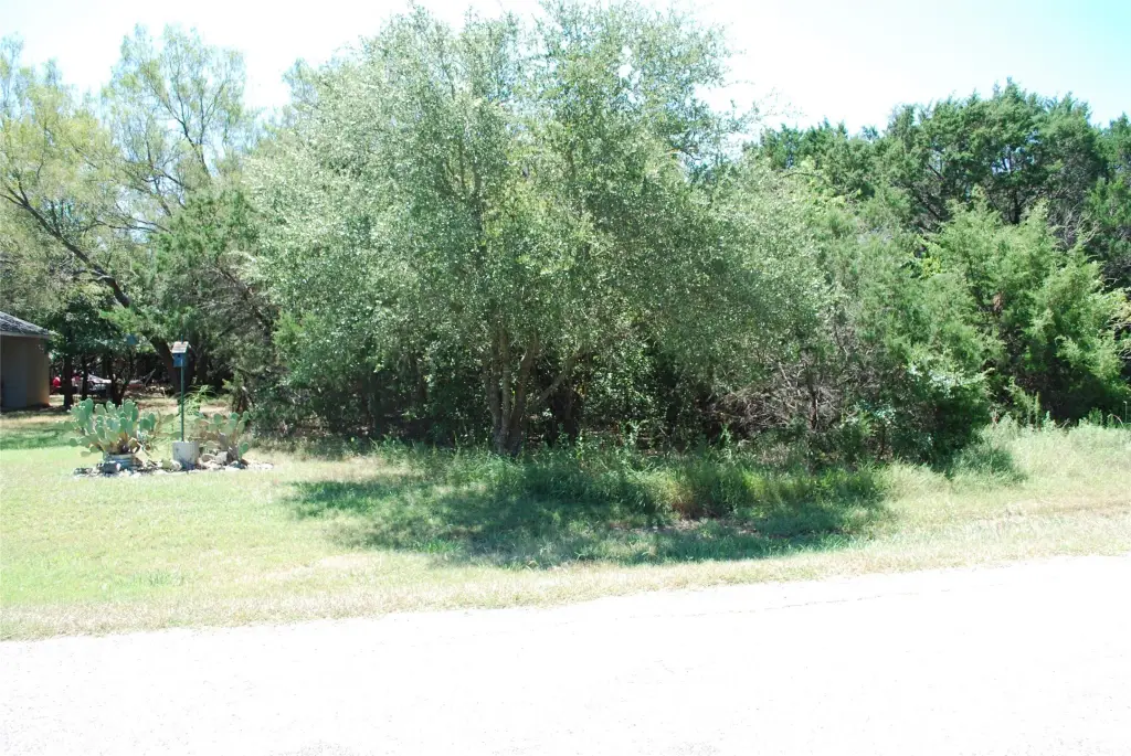 Picture 2