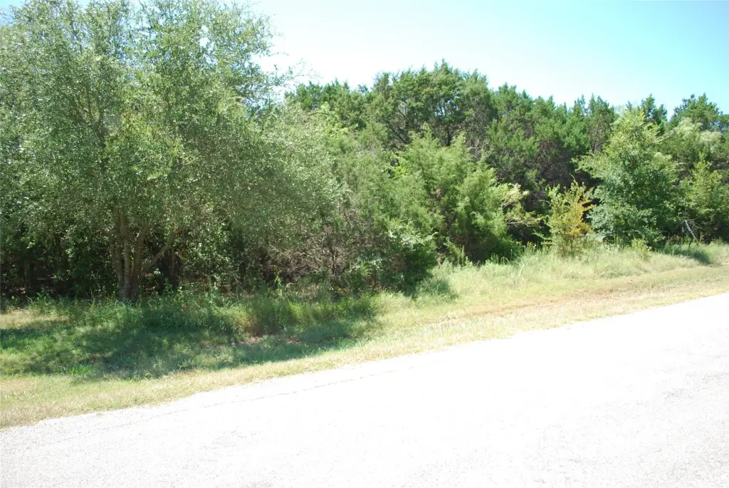 Picture 3