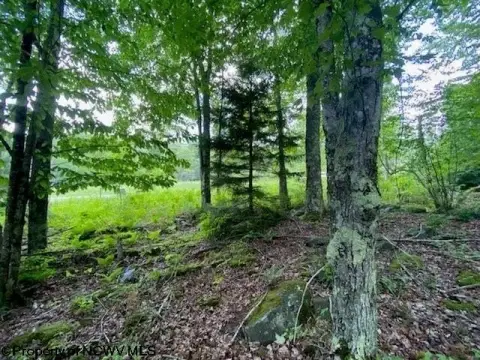 Residential Land in Davis, WV