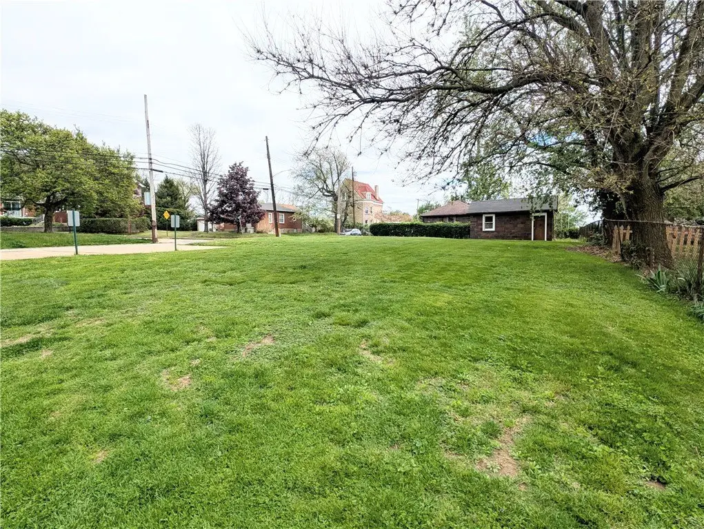 Picture 7