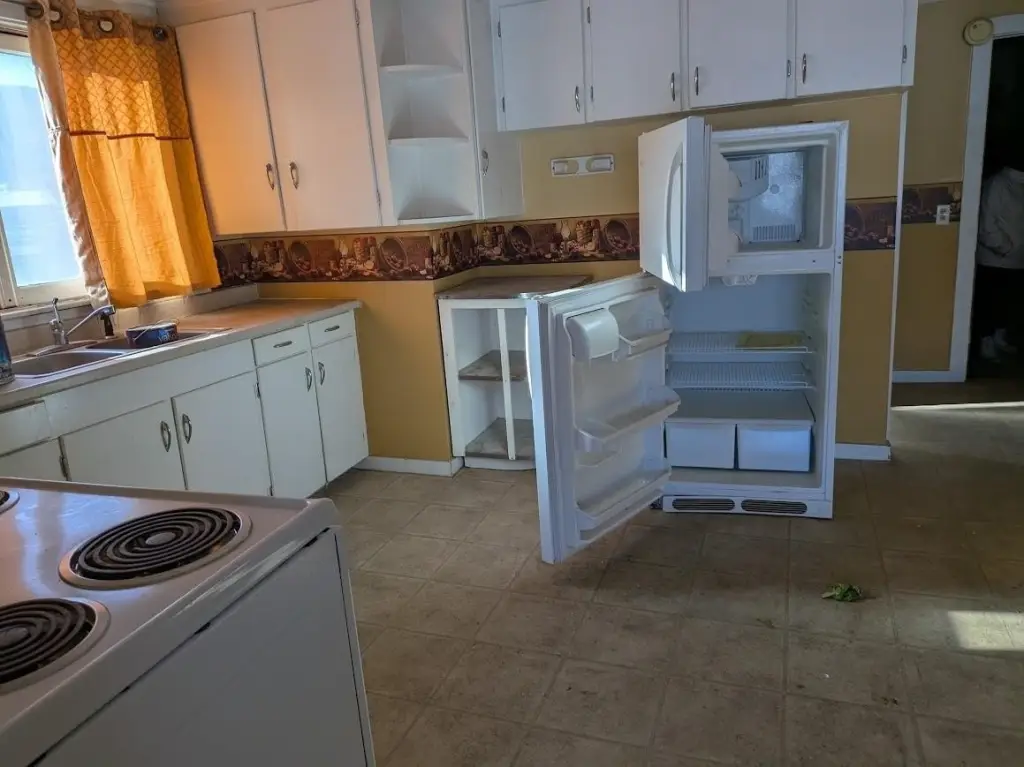Picture 11