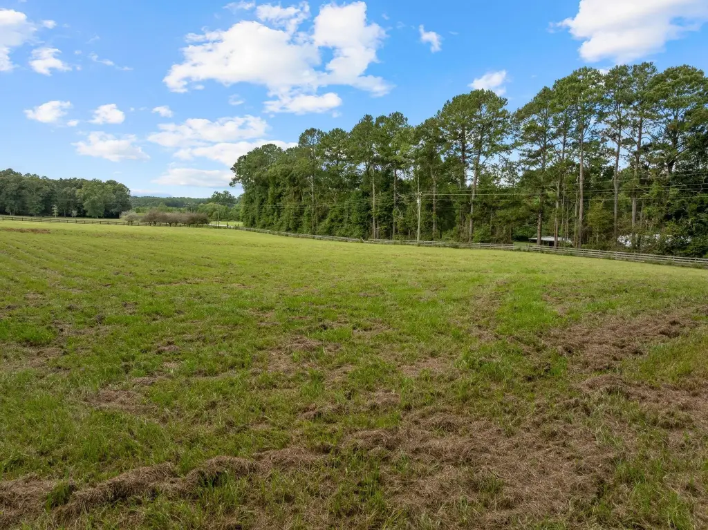 Picture 33
