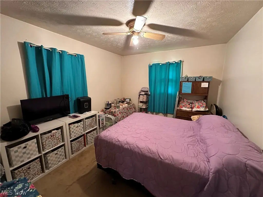 Picture 24
