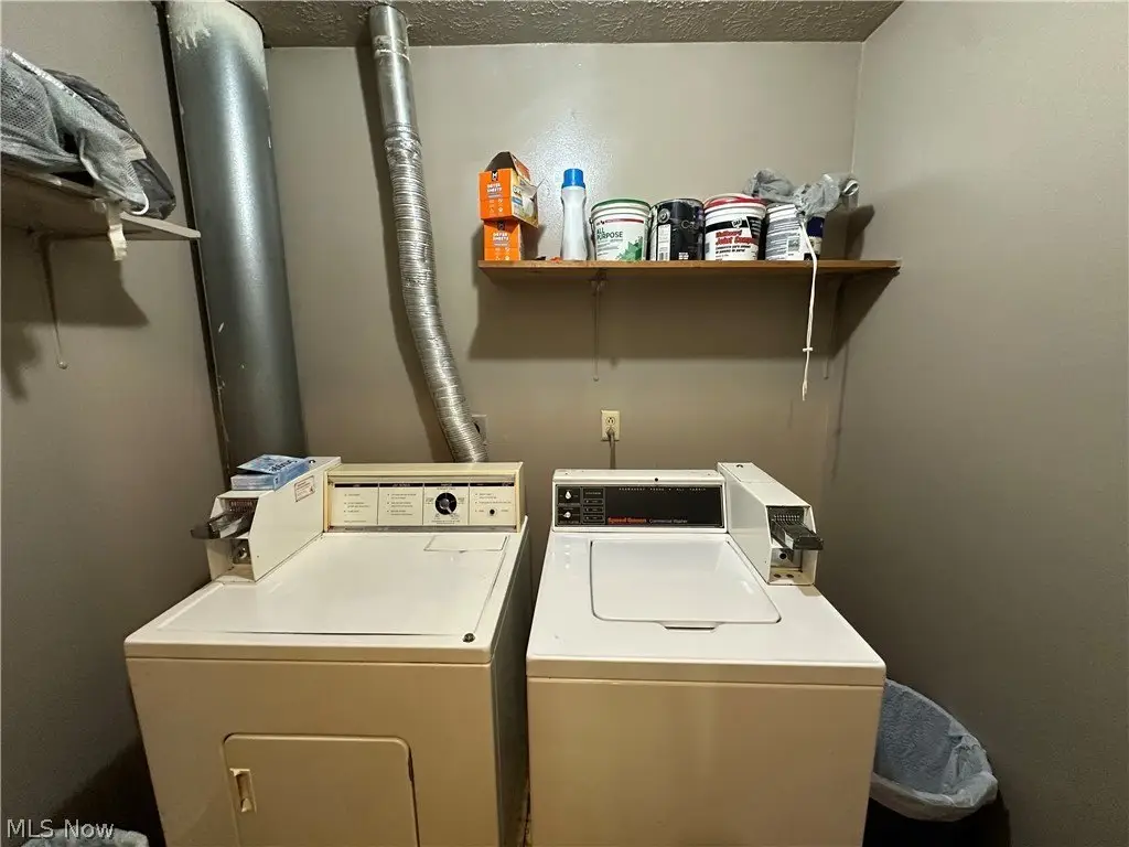 Picture 19