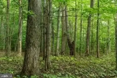 Five Acres in Hidden Valley