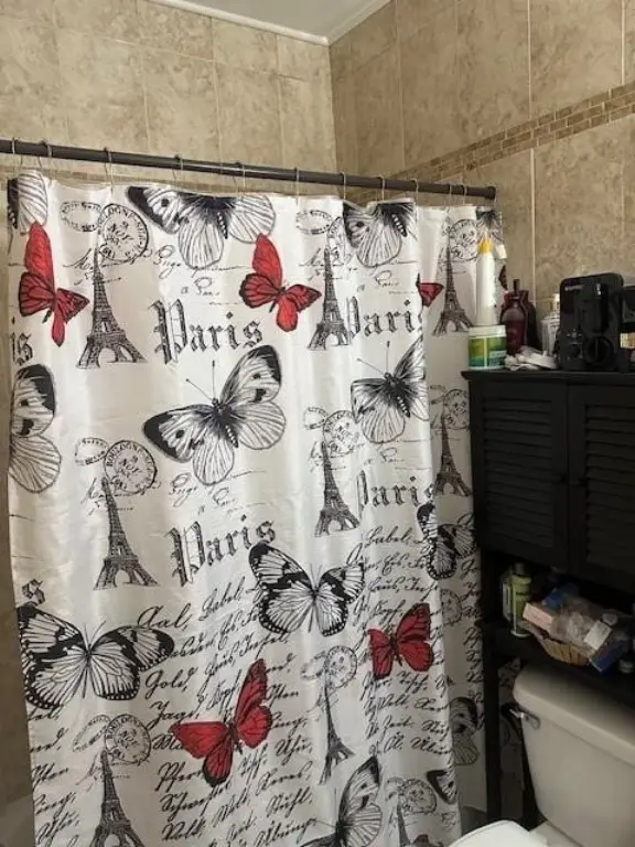 Picture 16
