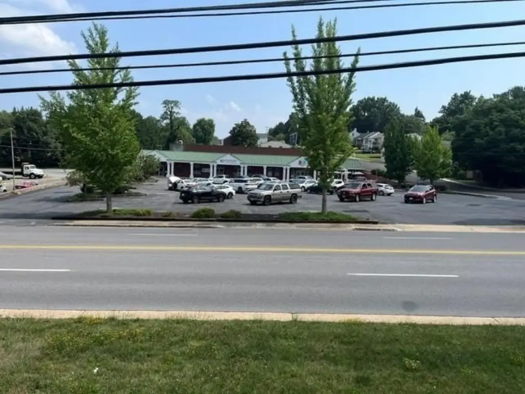 Picture 6