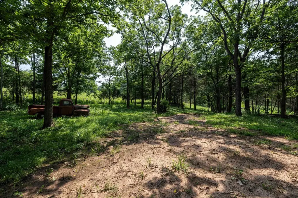 Picture 15