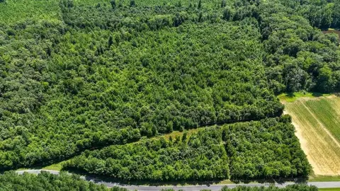 Nelson VA Wooded Acreage Parcel