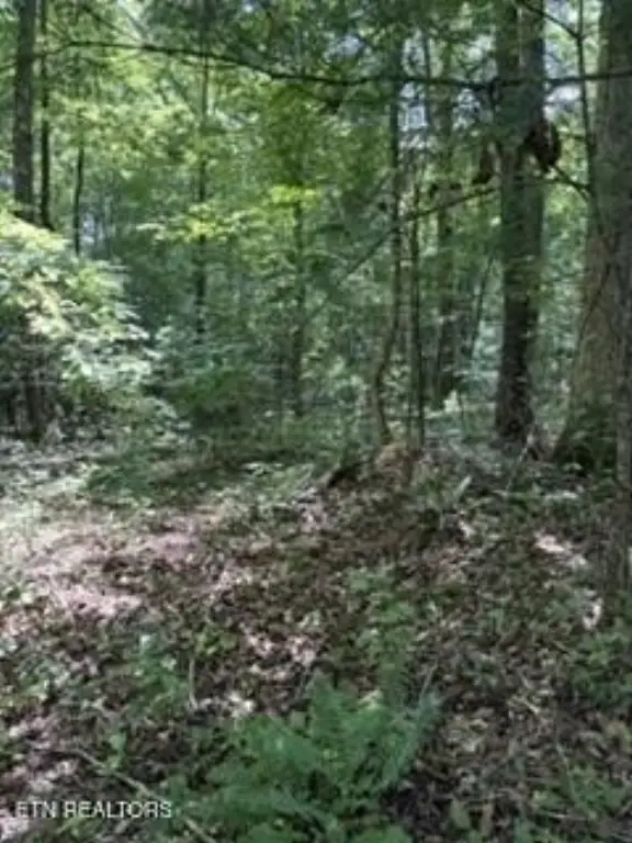 Picture 7