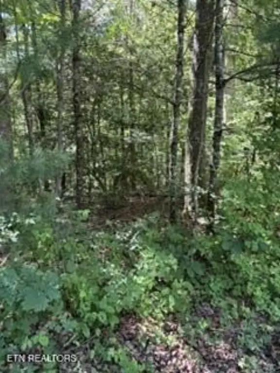 Picture 2
