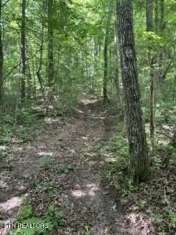 Picture 8