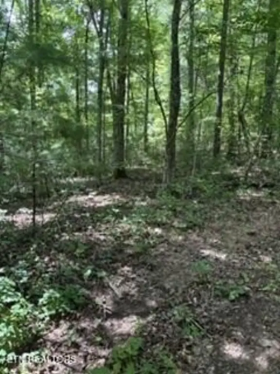 Picture 9