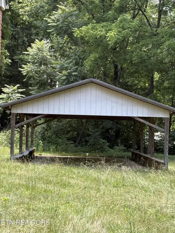 Picture 6