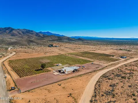 Willcox Vineyard and Recreational Property