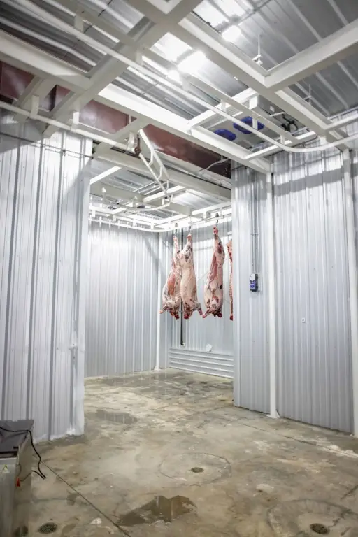 Picture 17