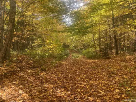 28+ Acres Vacant Land