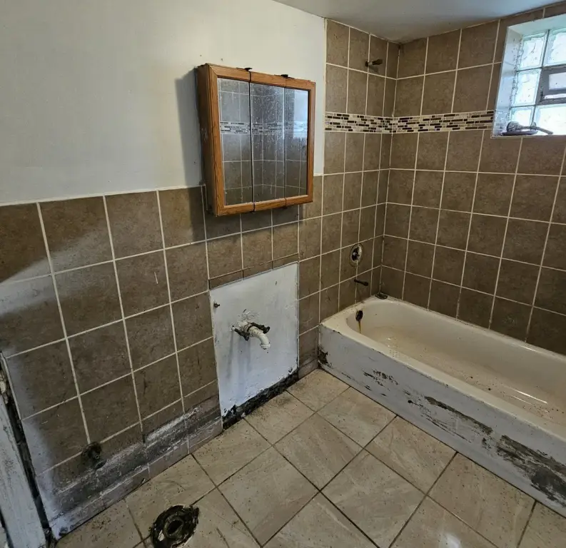 Picture 11
