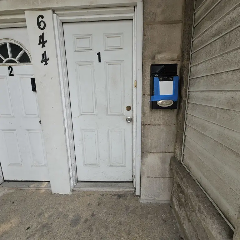 Picture 14