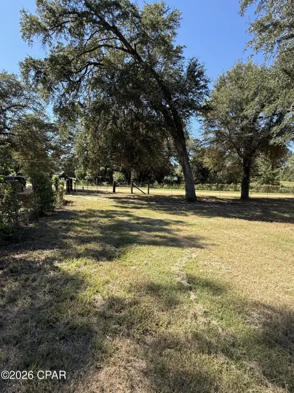 Picture 11
