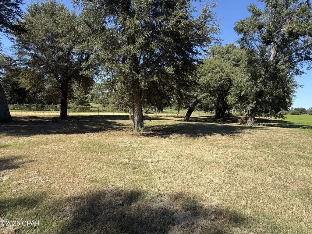 Picture 12