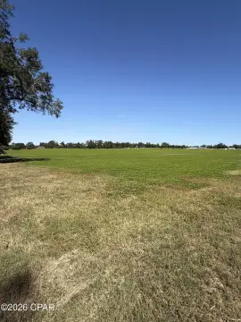 Perennial Peanut Hay Field