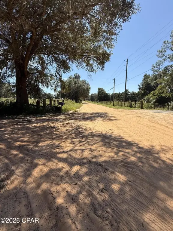 Picture 14