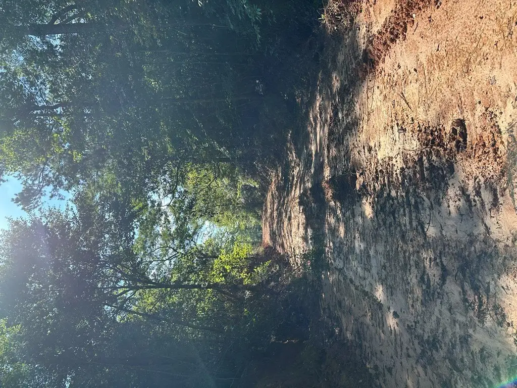 Picture 29