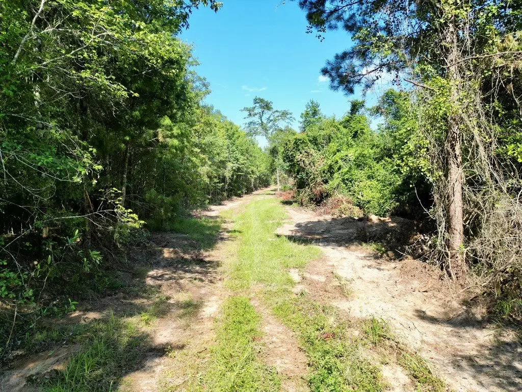 Picture 19