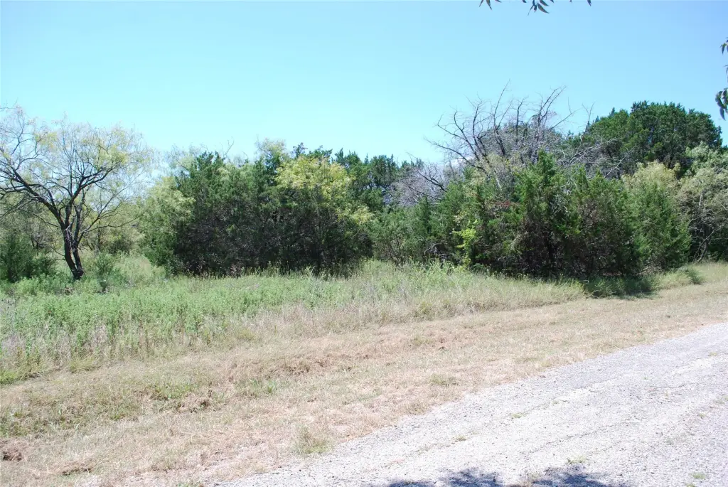 Picture 4
