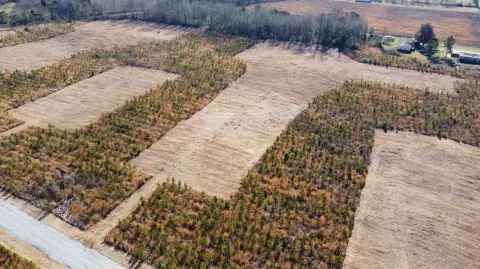 Land Near Lake Marion