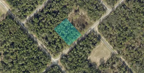 Spacious Marion Oaks Land Parcel