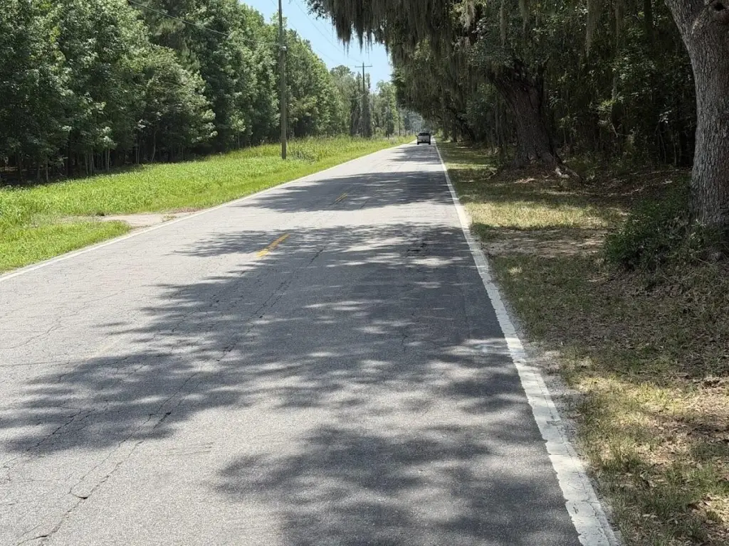 Picture 16