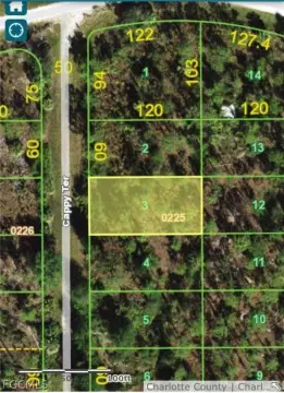 Residential Land in Punta Gorda