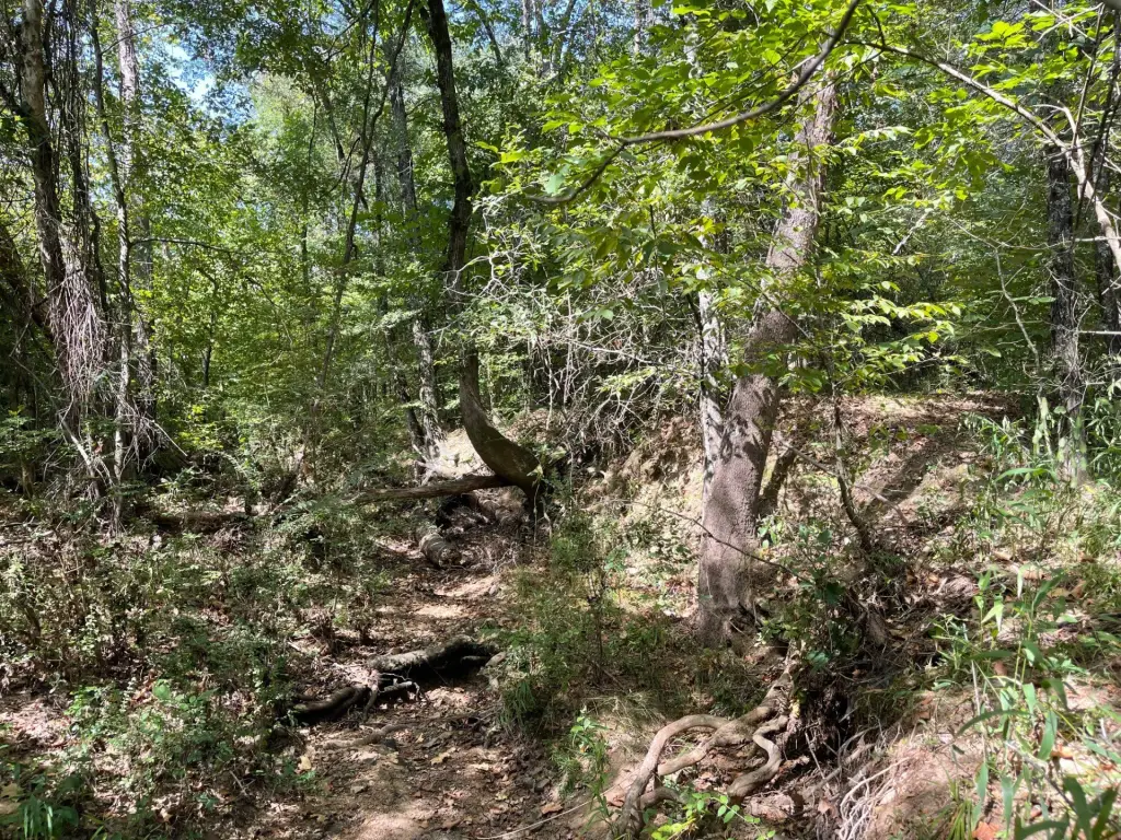Picture 22