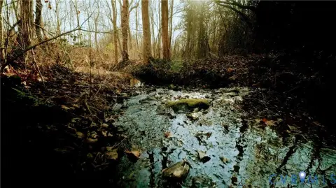 Secluded Recreational Land in Buckingham