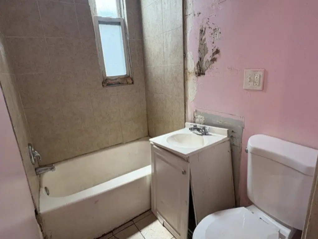 Picture 5