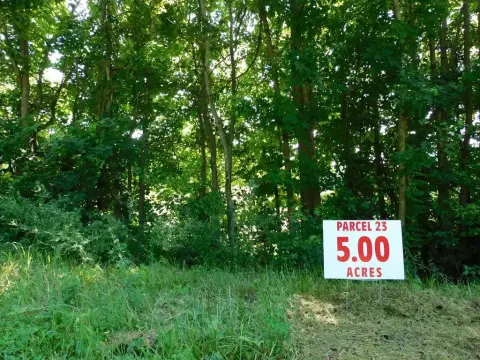Clover, VA 5-Acre Lot