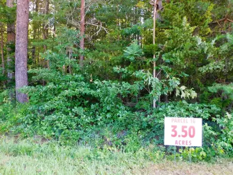 Clover, VA Wooded Homesite