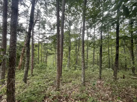 Ranger, GA Land For Sale
