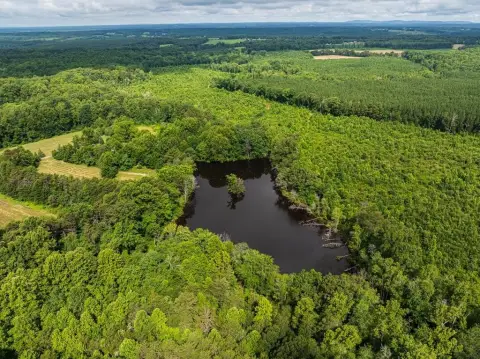 Brookneal Farm with Timber and Pond