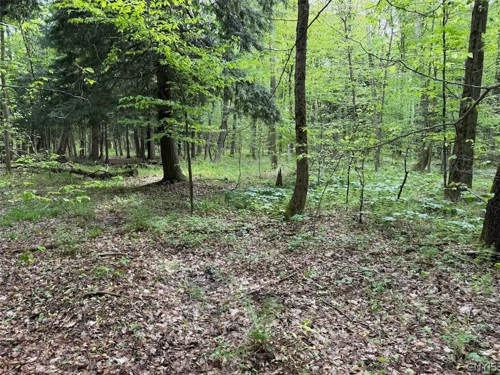 Picture 6