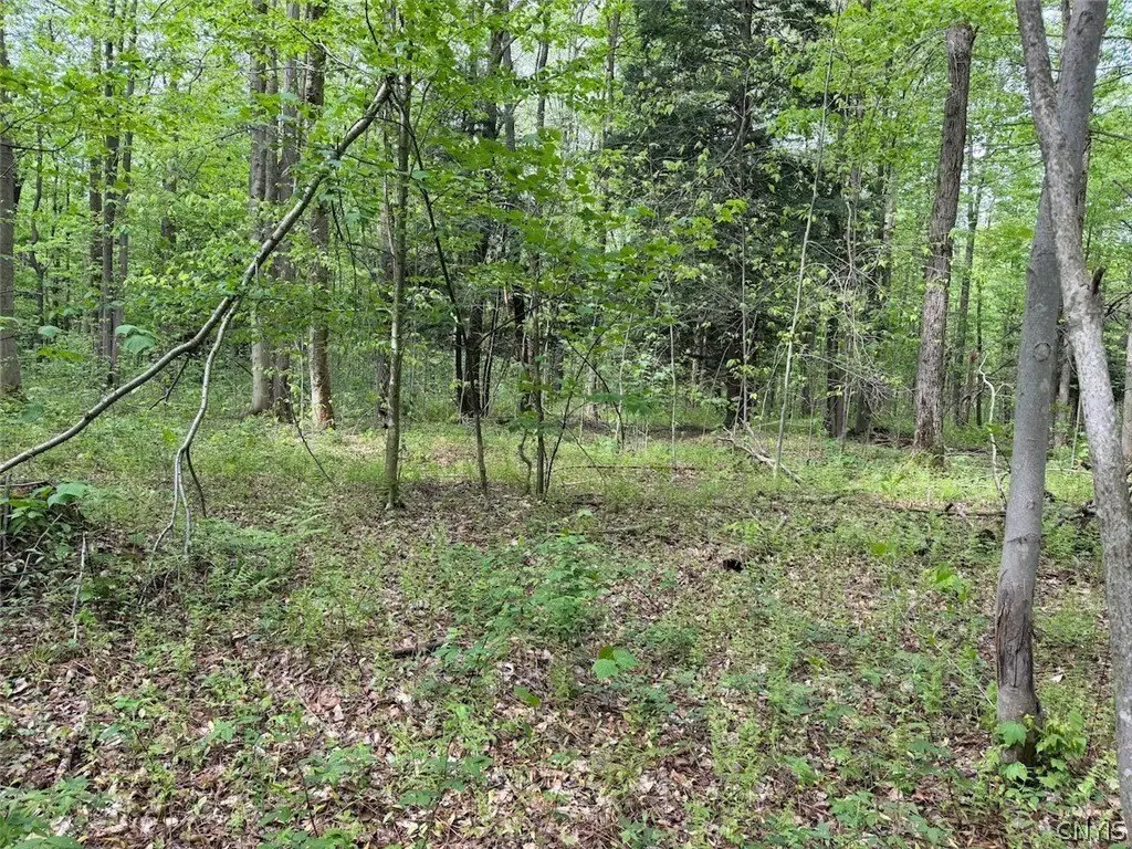 Picture 6